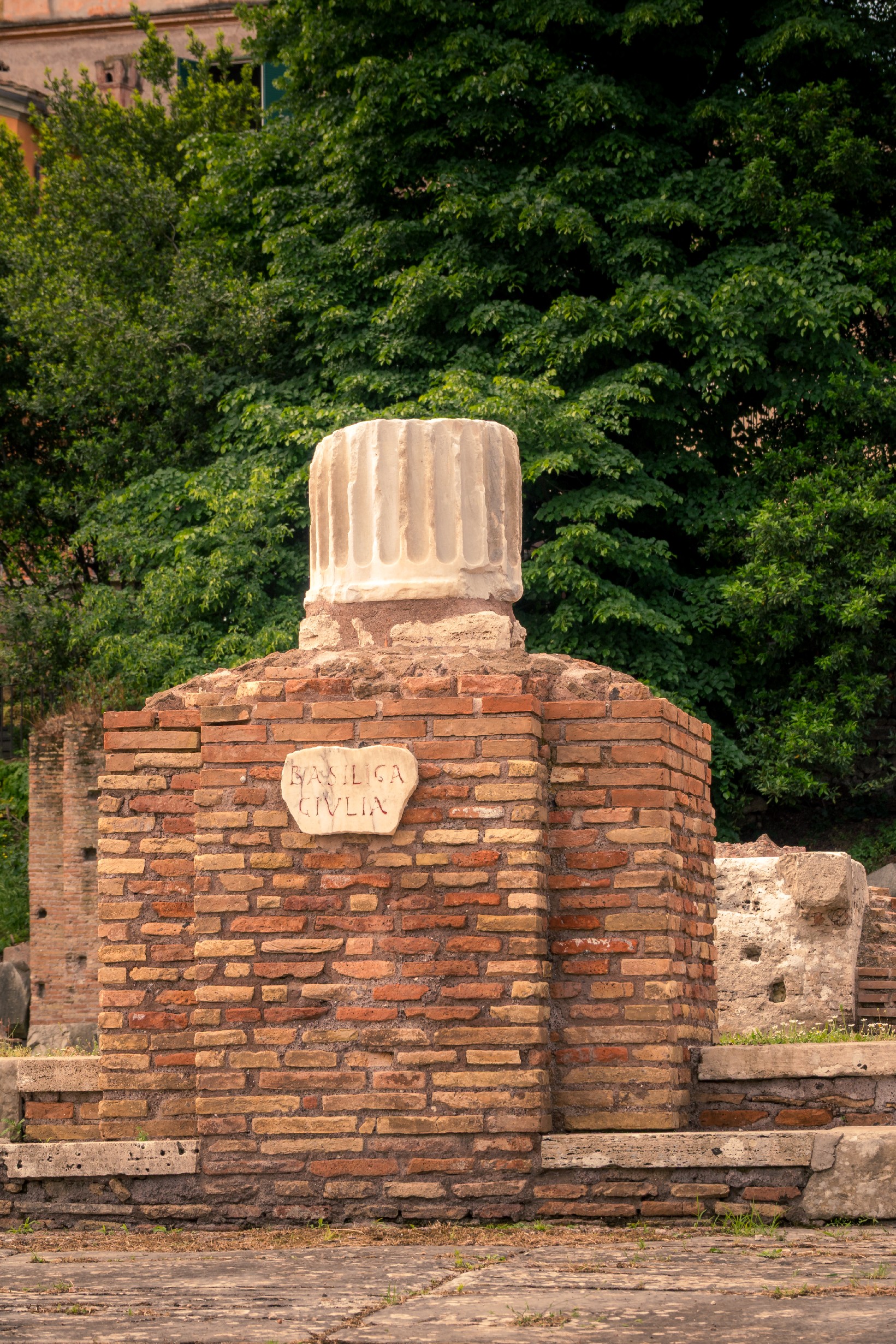 20250509 Rome Forum Romana 011
